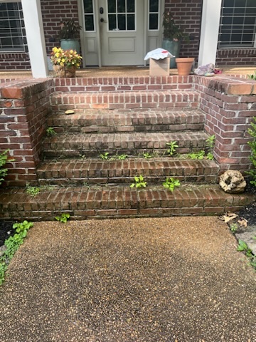 Brick steps with grime and weeds before cleaning