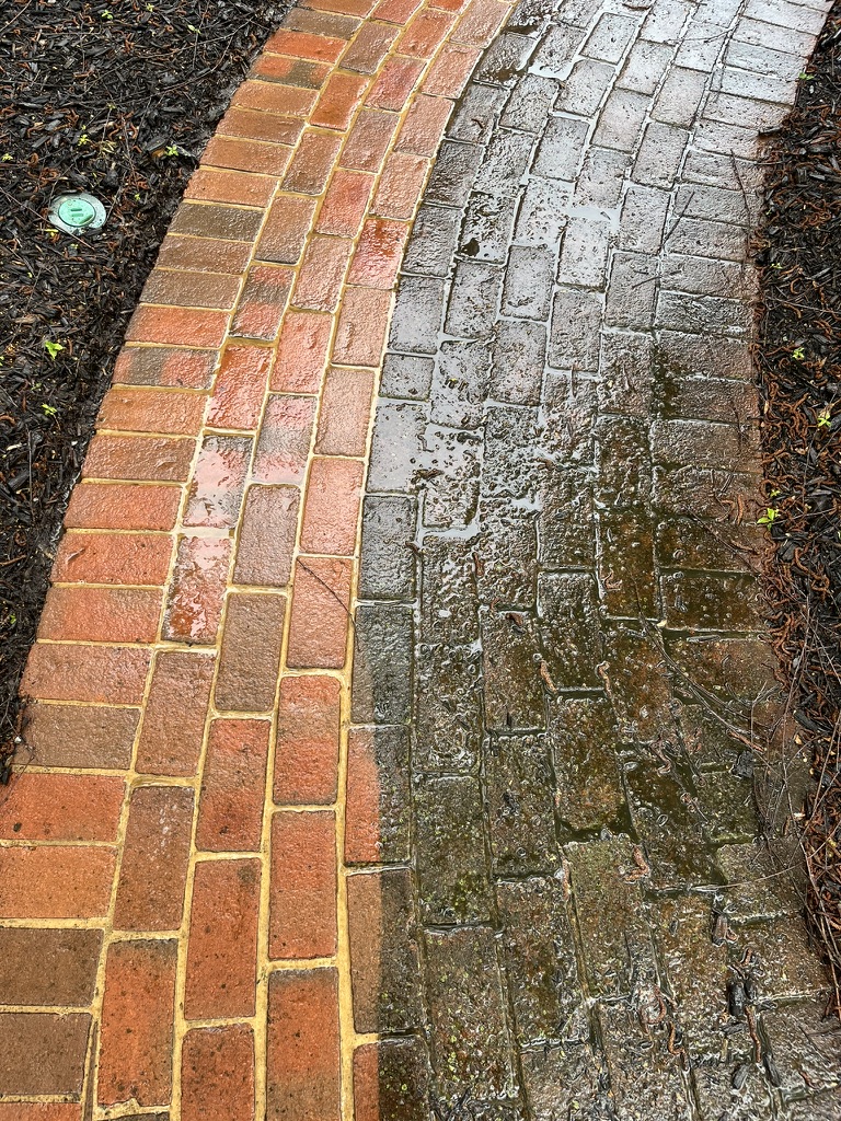 Brick walkway showing half cleaned half dirty — dramatic mid-clean split shot